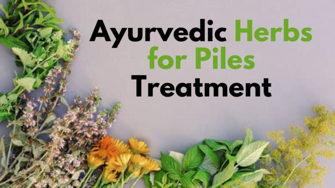 Ayurvedic Herbs for Piles Treatment