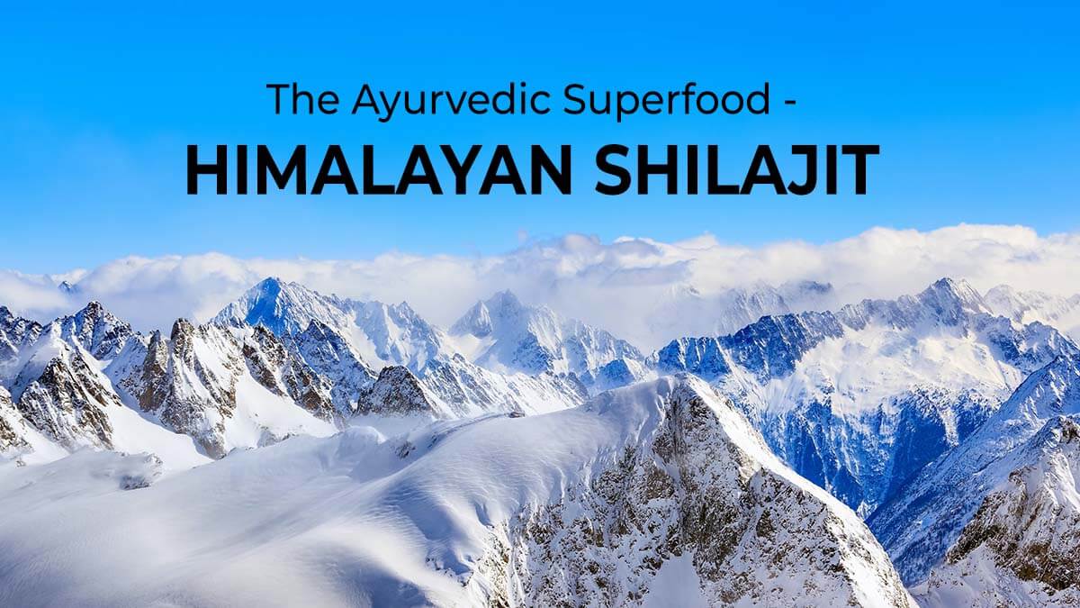 Himalayan Shilajit - The Ayurvedic Superfood