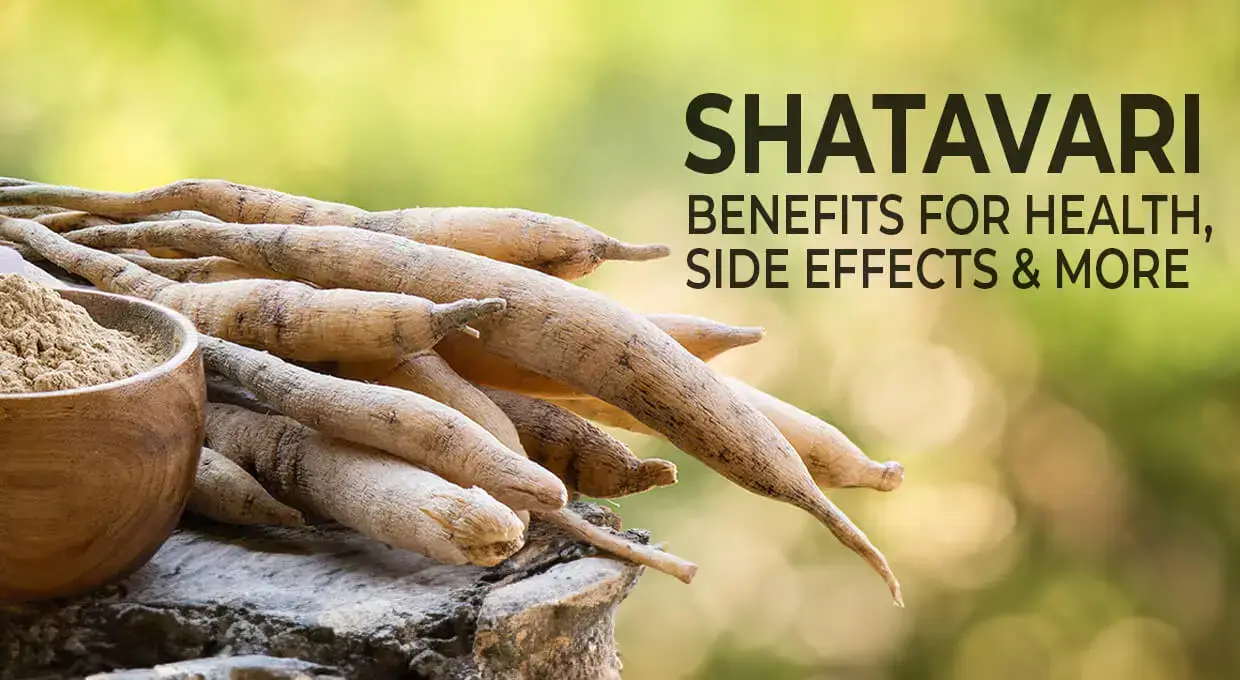 Shatavari Benefits For Health, Side Effects And More