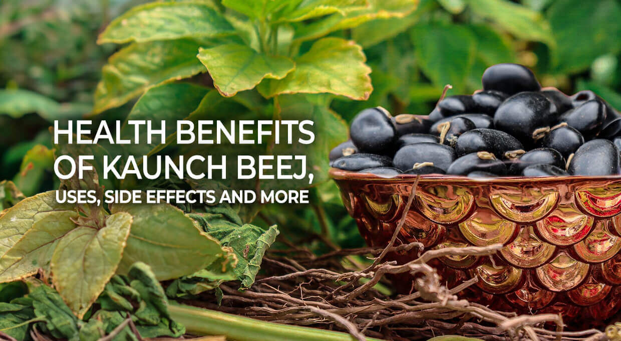 Health Benefits of Kaunch Beej Uses, Side Effects, and More