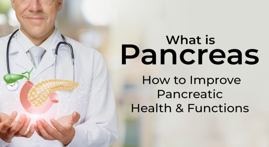 What is Pancreas