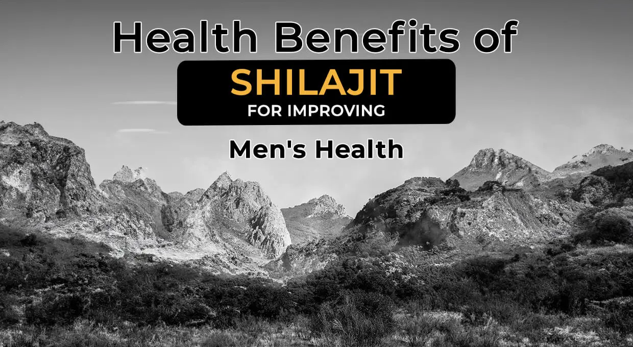 Shilajit for Improving Men's Health