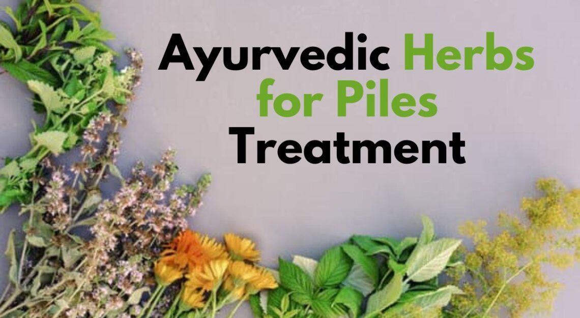 ayurvedic herb for piles treatment