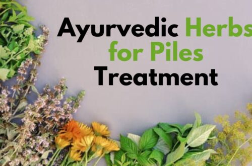 ayurvedic herb for piles treatment