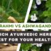 brahmi vs ashwagandha