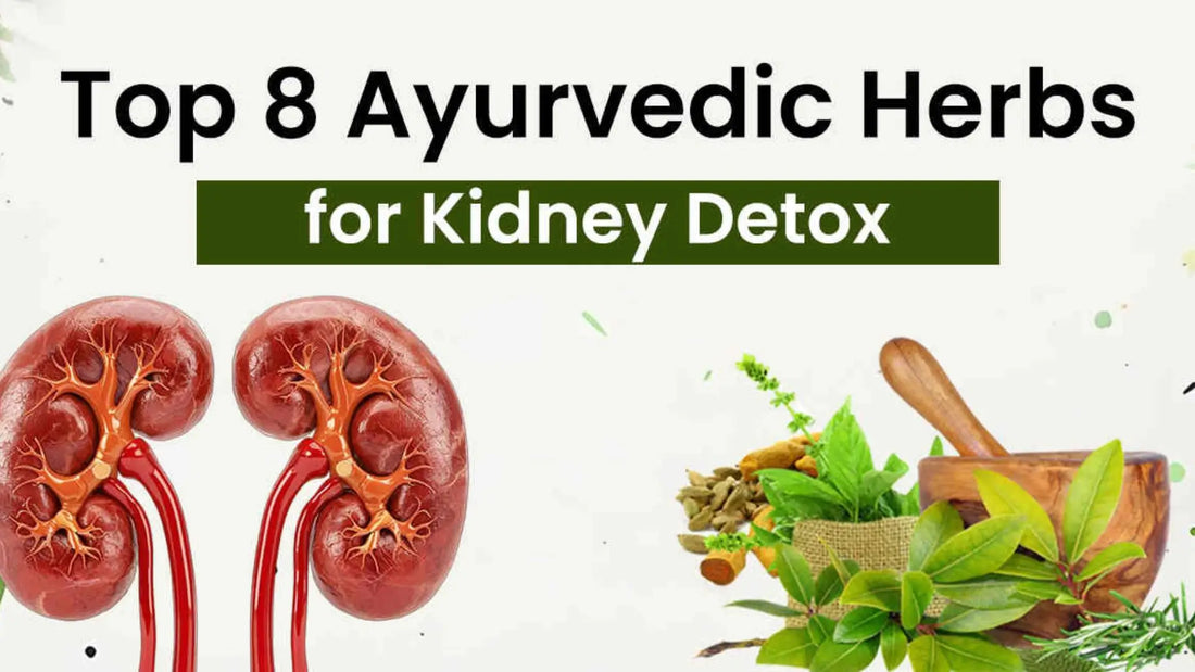 Ayurvedic Herbs for Kidney Detox Naturally