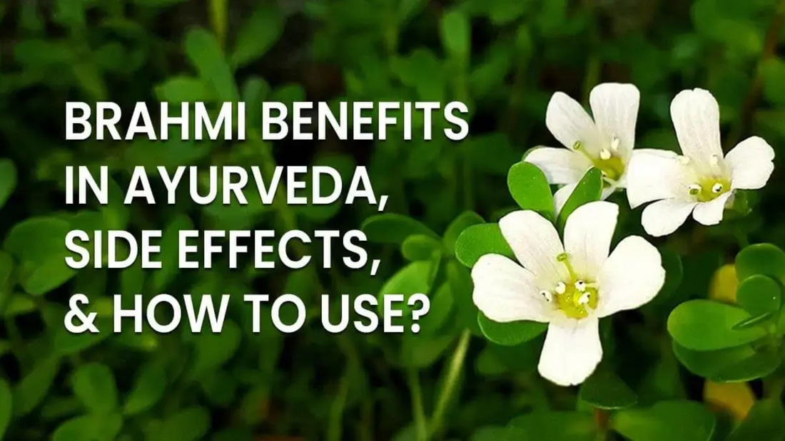 Benefits of Brahmi
