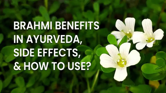 Benefits of Brahmi