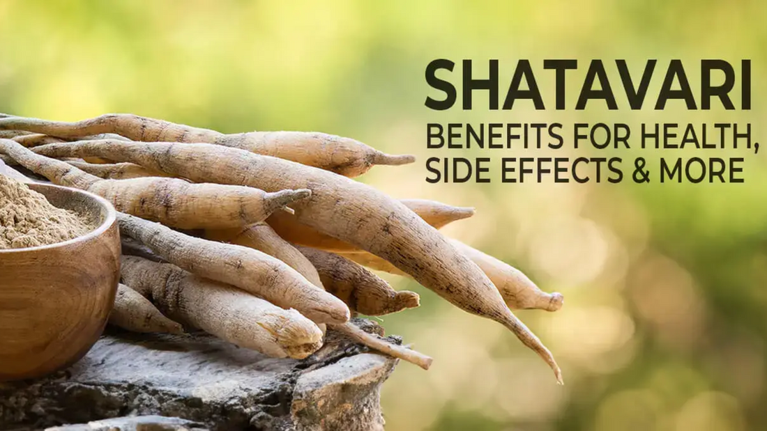 Benefits of Shatavari 