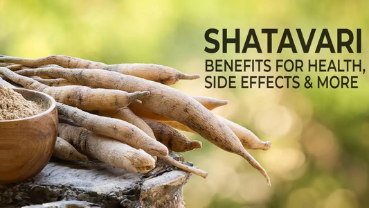 Benefits of Shatavari 