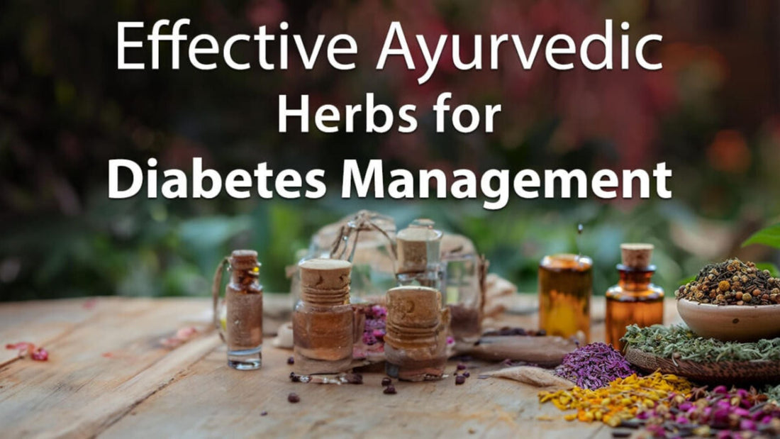Effective Ayurvedic Herbs for Diabetes Management – You Must Know for Better Health