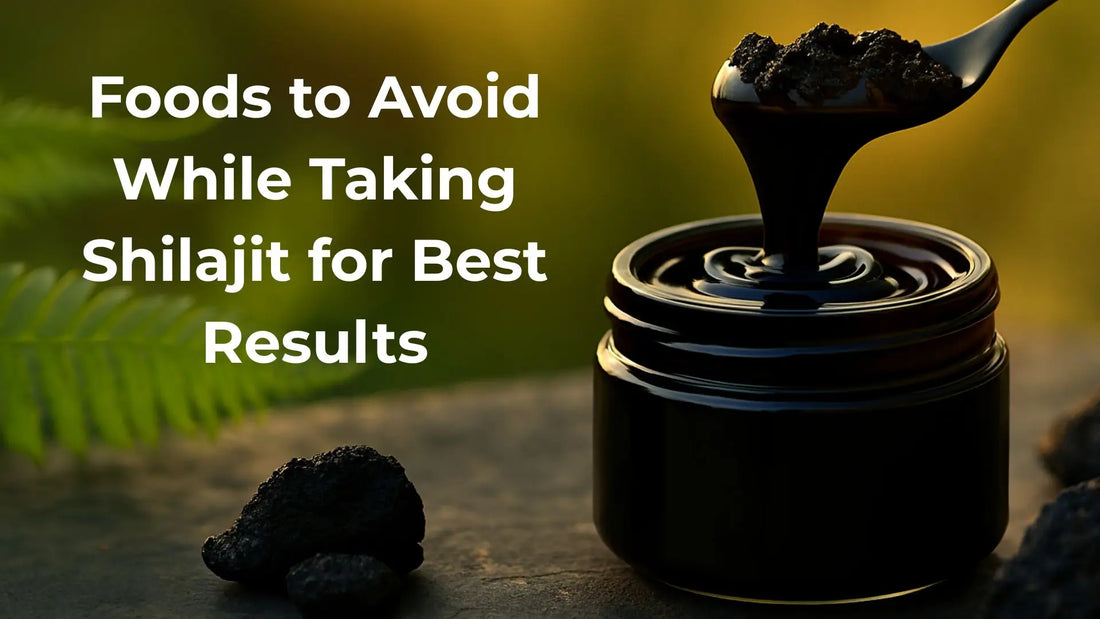 Foods to Avoid While Taking Shilajit for Best Results