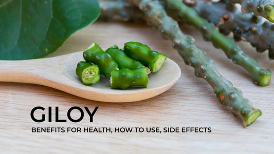 Giloy Health Benefits