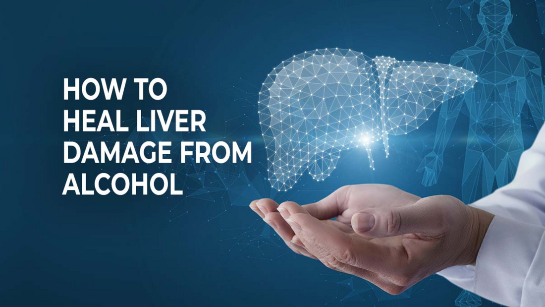 Heal Liver Damage from Alcohol