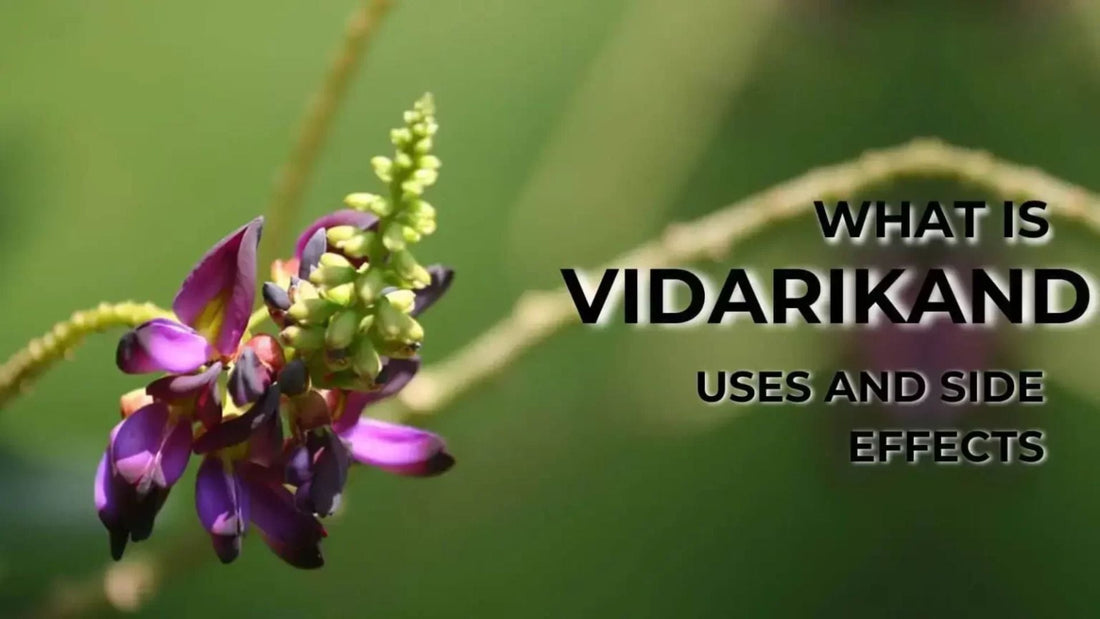 Health Benefits of Vidarikand