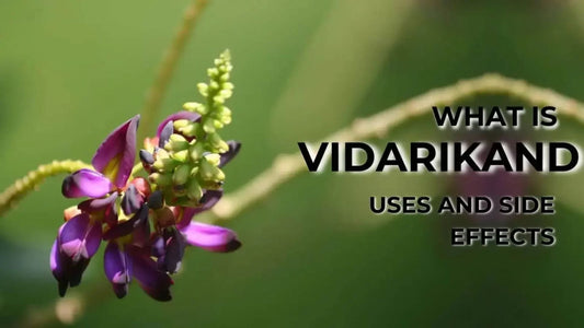 Health Benefits of Vidarikand