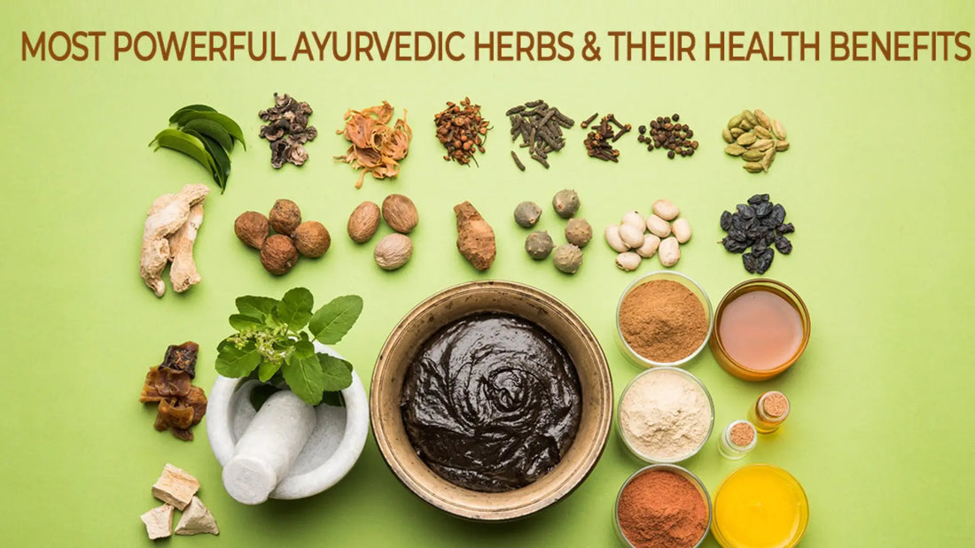 Most Powerful Ayurvedic Herbs and Their Amazing Health Benefits