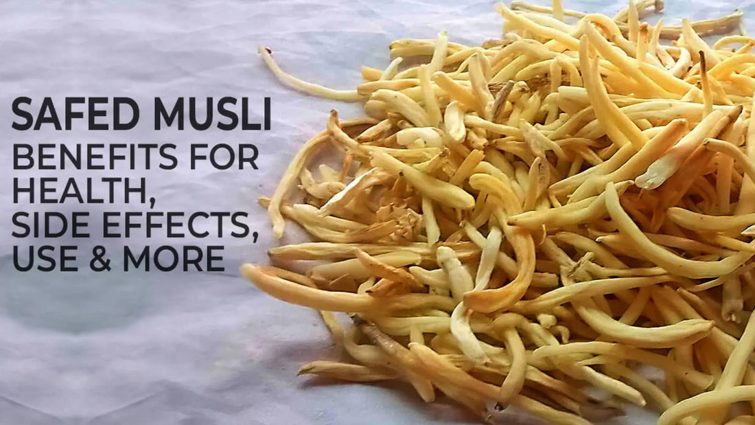 Safed Musli Benefits, Side Effects, Uses and More