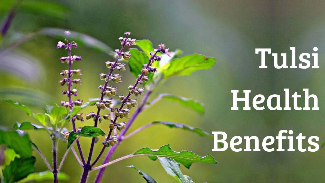 Tulsi Health Benefits
