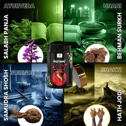  Liv Muztang REX power of 4