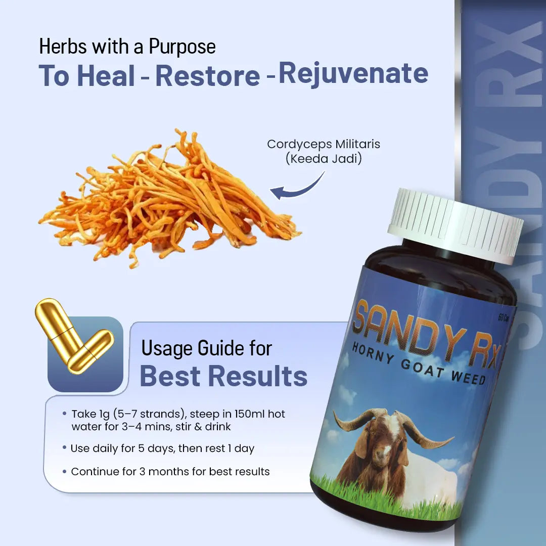 Sandy Rx Capsule Ingredients & Uses