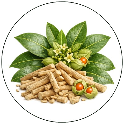 Ashwagandha